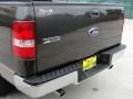 2006 Dark Stone Metallic Ford F150 XLT SuperCrew  photo #22