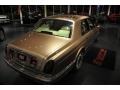 Champagne Beige Metallic - Silver Seraph  Photo No. 4