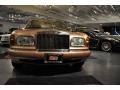 Champagne Beige Metallic - Silver Seraph  Photo No. 15