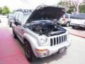 2004 Bright Silver Metallic Jeep Liberty Renegade 4x4  photo #18
