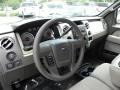 2009 Sterling Grey Metallic Ford F150 XLT Regular Cab  photo #3