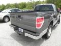 Sterling Grey Metallic - F150 XLT Regular Cab Photo No. 9