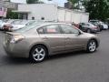 Pebble Beach Metallic - Altima 3.5 SE Photo No. 4