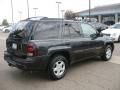 2003 Dark Gray Metallic Chevrolet TrailBlazer LS 4x4  photo #6