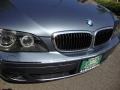 2008 Michigan Blue Metallic BMW 7 Series 750Li Sedan  photo #8