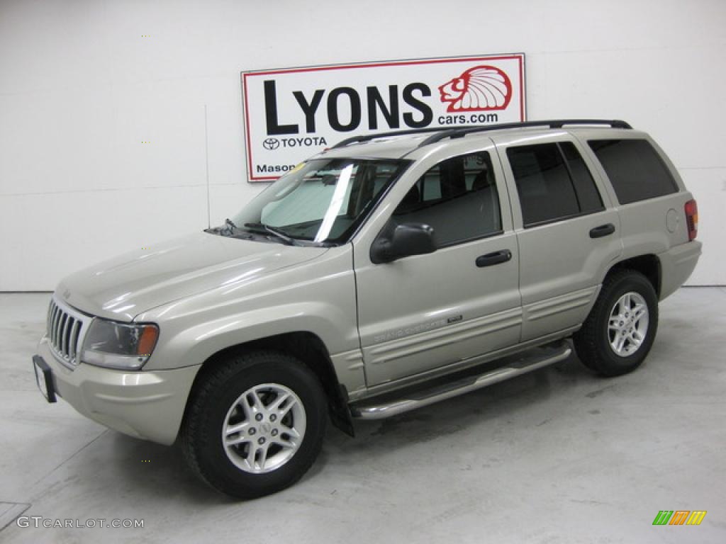 2004 Grand Cherokee Special Edition 4x4 - Bright Silver Metallic / Dark Slate Gray photo #1