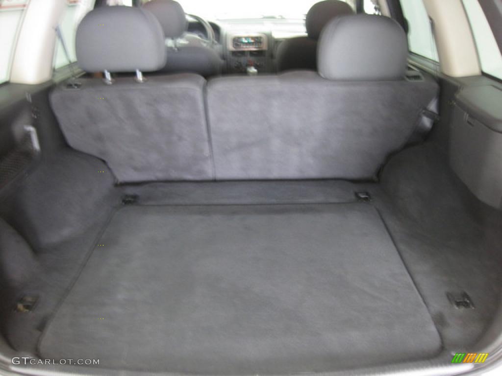 2004 Grand Cherokee Special Edition 4x4 - Bright Silver Metallic / Dark Slate Gray photo #9