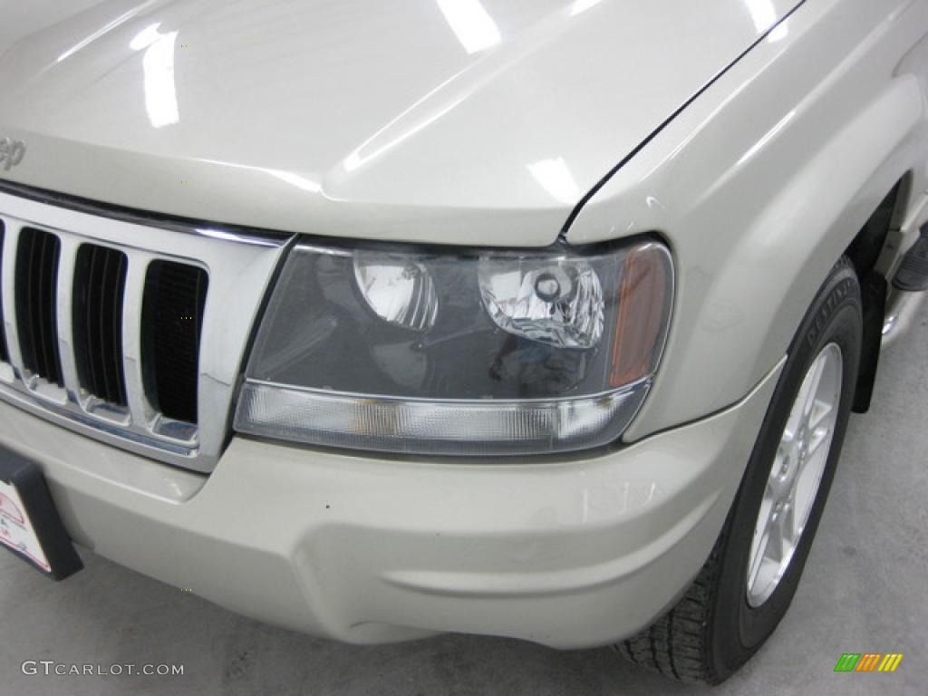 2004 Grand Cherokee Special Edition 4x4 - Bright Silver Metallic / Dark Slate Gray photo #13