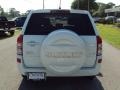 White Water Pearl - Grand Vitara  Photo No. 8