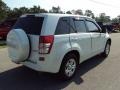White Water Pearl - Grand Vitara  Photo No. 9