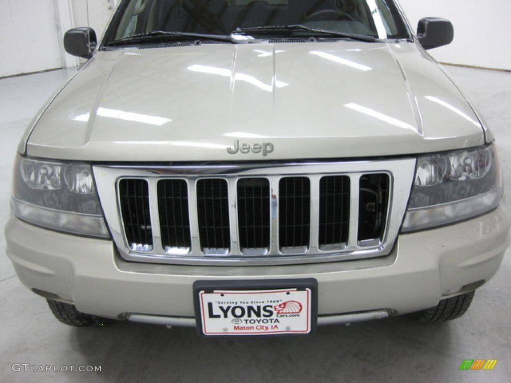 2004 Grand Cherokee Special Edition 4x4 - Bright Silver Metallic / Dark Slate Gray photo #14