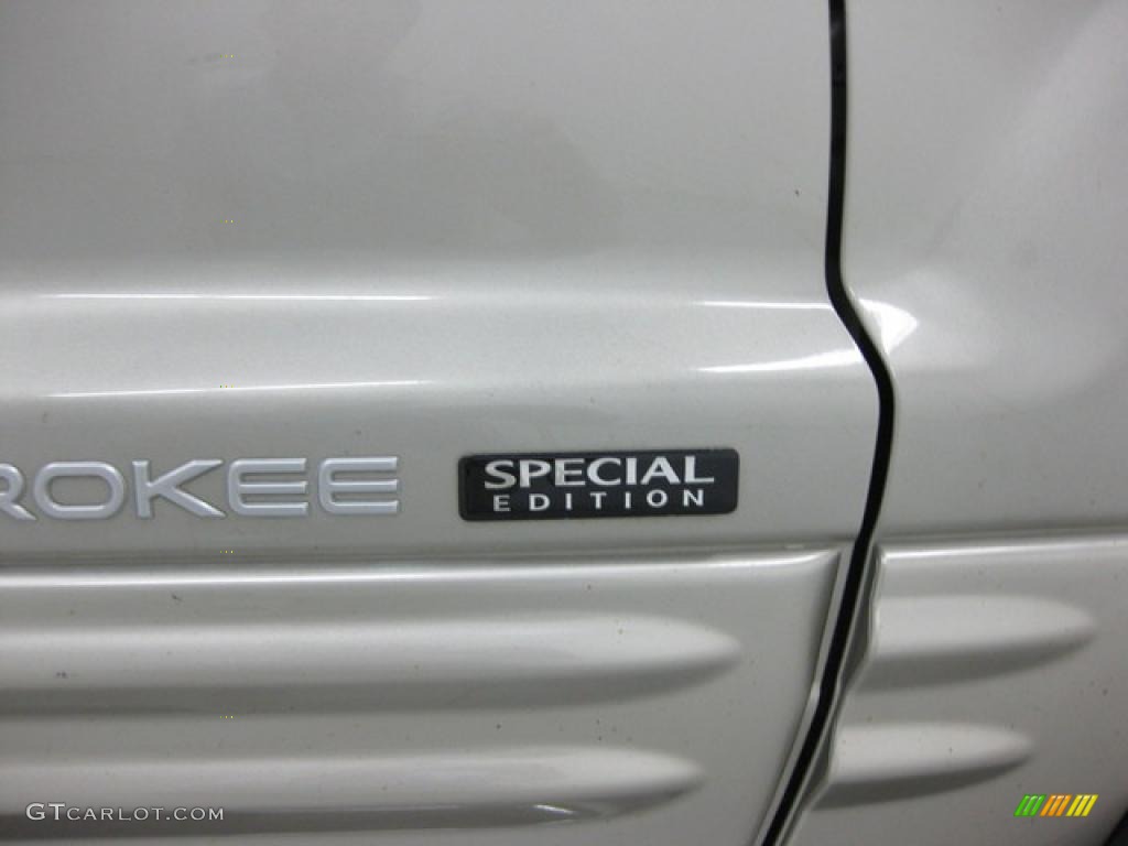 2004 Grand Cherokee Special Edition 4x4 - Bright Silver Metallic / Dark Slate Gray photo #16