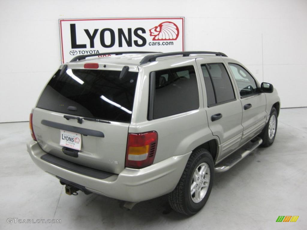 2004 Grand Cherokee Special Edition 4x4 - Bright Silver Metallic / Dark Slate Gray photo #18