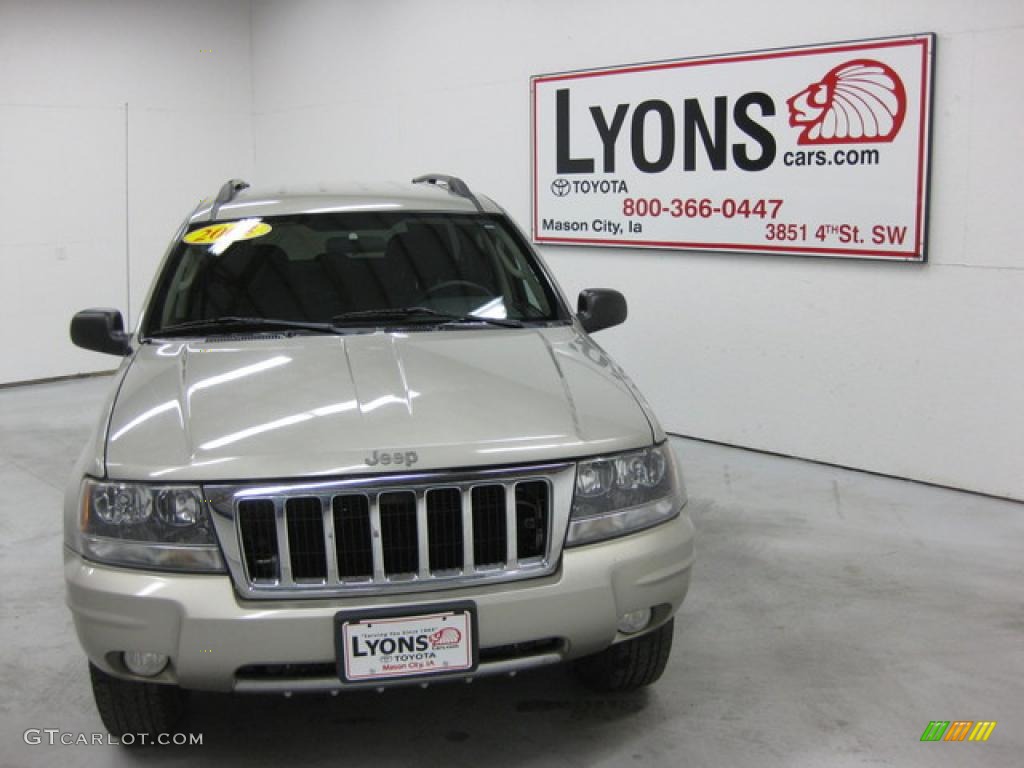 2004 Grand Cherokee Special Edition 4x4 - Bright Silver Metallic / Dark Slate Gray photo #22