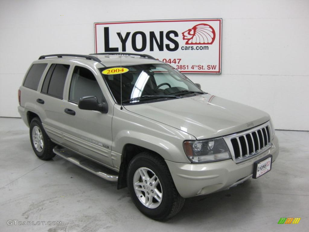 2004 Grand Cherokee Special Edition 4x4 - Bright Silver Metallic / Dark Slate Gray photo #23
