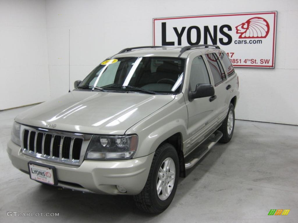 2004 Grand Cherokee Special Edition 4x4 - Bright Silver Metallic / Dark Slate Gray photo #25