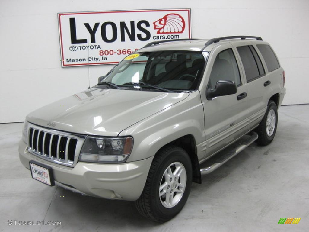 2004 Grand Cherokee Special Edition 4x4 - Bright Silver Metallic / Dark Slate Gray photo #27