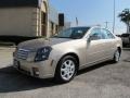 Sand Storm - CTS Sedan Photo No. 3