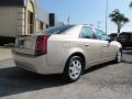 Sand Storm - CTS Sedan Photo No. 6