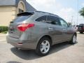 2008 Natural Khaki Metallic Hyundai Veracruz GLS  photo #6