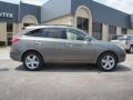 Natural Khaki Metallic - Veracruz GLS Photo No. 7