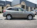 2008 Natural Khaki Metallic Hyundai Veracruz GLS  photo #7