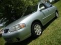 Molten Silver - Sentra GXE Photo No. 1