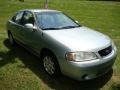 Molten Silver - Sentra GXE Photo No. 4
