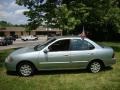 Molten Silver - Sentra GXE Photo No. 11