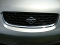 Molten Silver - Sentra GXE Photo No. 28