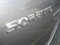 2006 Alpine Gray Kia Sorento EX  photo #44