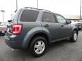 2010 Sterling Grey Metallic Ford Escape XLT V6  photo #3