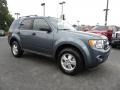 Sterling Grey Metallic - Escape XLT Photo No. 1