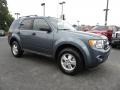 2010 Sterling Grey Metallic Ford Escape XLT  photo #1