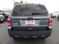 2010 Sterling Grey Metallic Ford Escape XLT  photo #4
