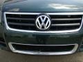 Venetian Green Metallic - Touareg V8 Photo No. 36