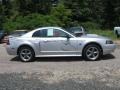 2001 Silver Metallic Ford Mustang GT Coupe  photo #3