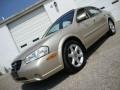 Sunlit Sand Metallic - Maxima SE Photo No. 1