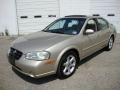 Sunlit Sand Metallic - Maxima SE Photo No. 2