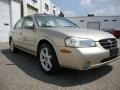Sunlit Sand Metallic - Maxima SE Photo No. 5