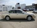 Sunlit Sand Metallic - Maxima SE Photo No. 7