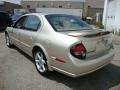 Sunlit Sand Metallic - Maxima SE Photo No. 10