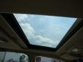 Sunlit Sand Metallic - Maxima SE Photo No. 23