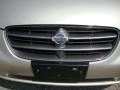 Sunlit Sand Metallic - Maxima SE Photo No. 40