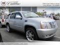 2010 Silver Lining Cadillac Escalade Premium  photo #1