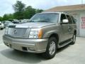 Silver Sand - Escalade AWD Photo No. 1