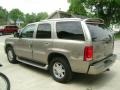 Silver Sand - Escalade AWD Photo No. 7