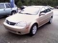 2008 Champagne Beige Metallic Suzuki Forenza   photo #1