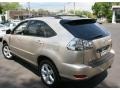 Savannah Metallic - RX 330 AWD Photo No. 8