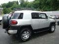 Titanium Metallic - FJ Cruiser 4WD Photo No. 5